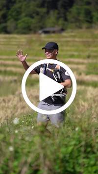 BIB:  <button type="button" onclick="openModal(26787302)" class="btn btn-primary btn-sm float-right" data-toggle="modal" data-target=".modal-high-quality">
                <i class="fa fa-download"></i> Download
                </button>